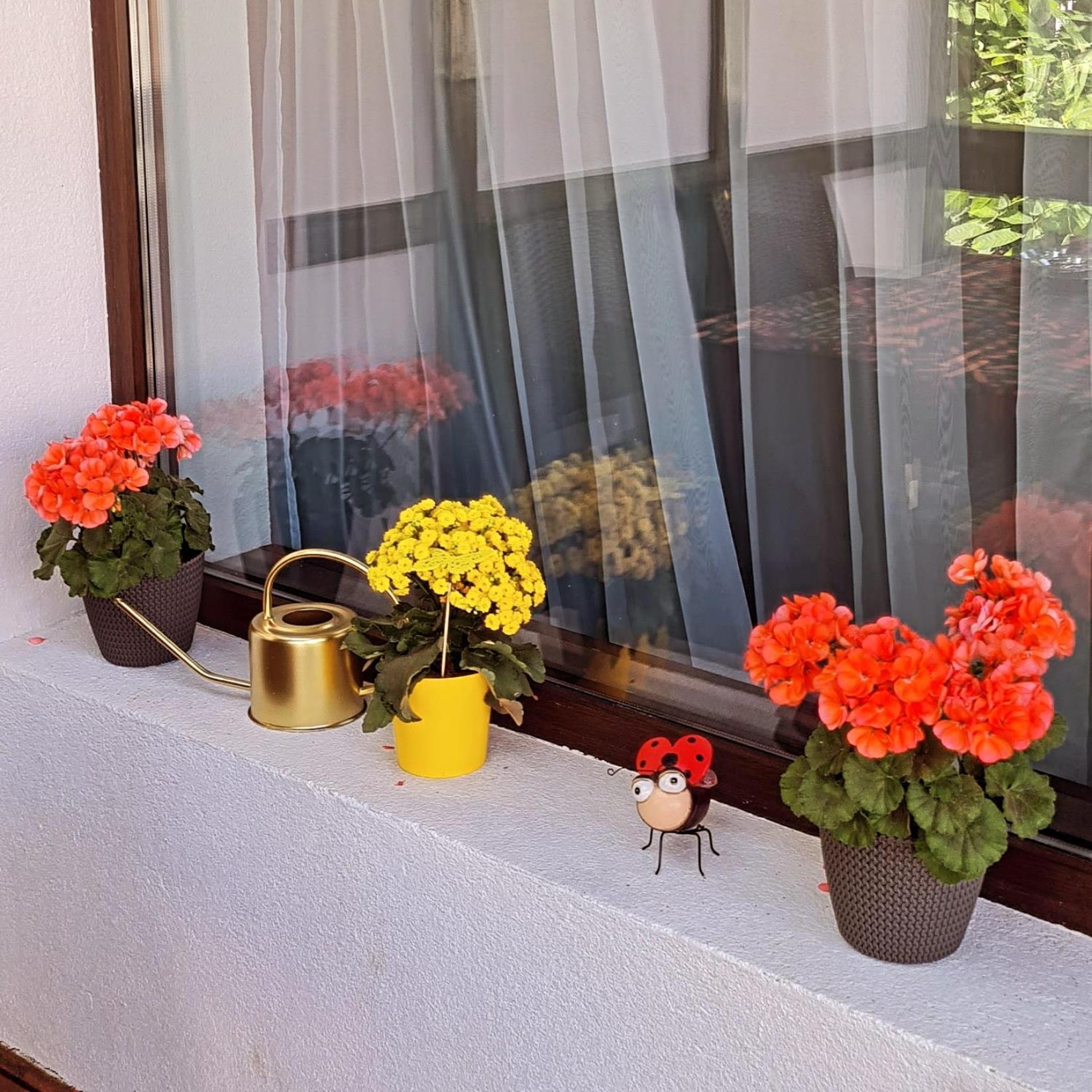 Villa Casa Ama Buşteni Esterno foto